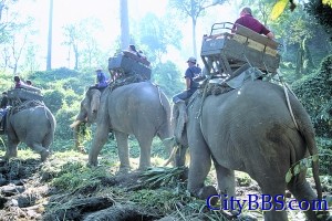 清迈旅游