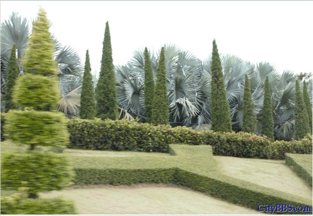 ChiangMai_Royal_Flower_Flora