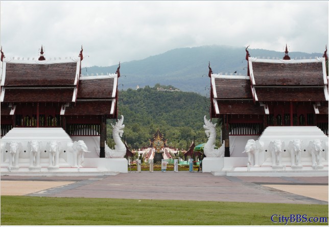 ChiangMai_Royal_Flower_Flora