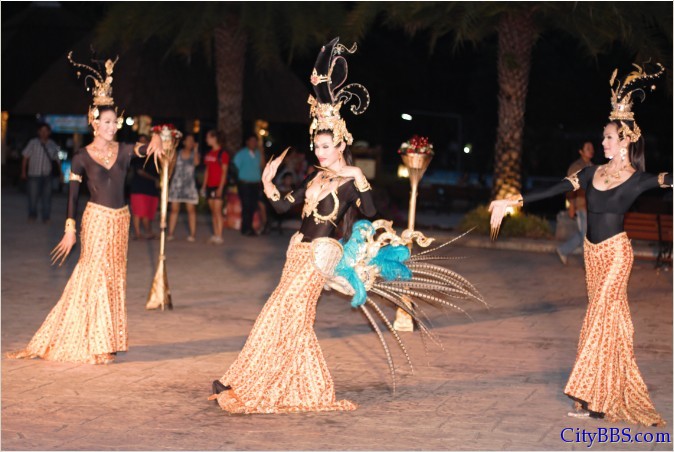 清迈的夜间动物园 Chiangmai Night Safari