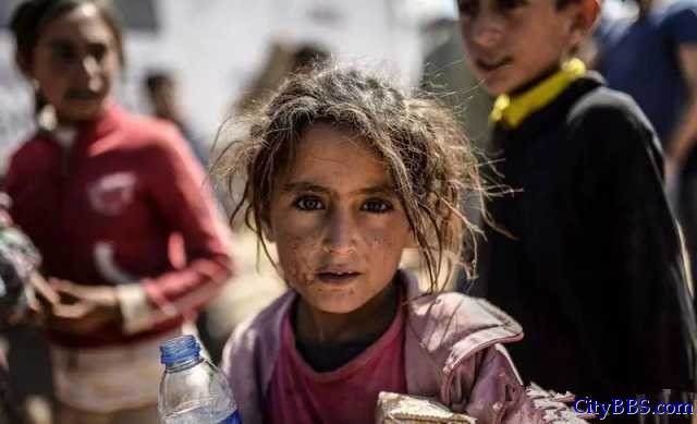 难民欧洲梦破碎 3.5万人无奈离开欧洲返回家园